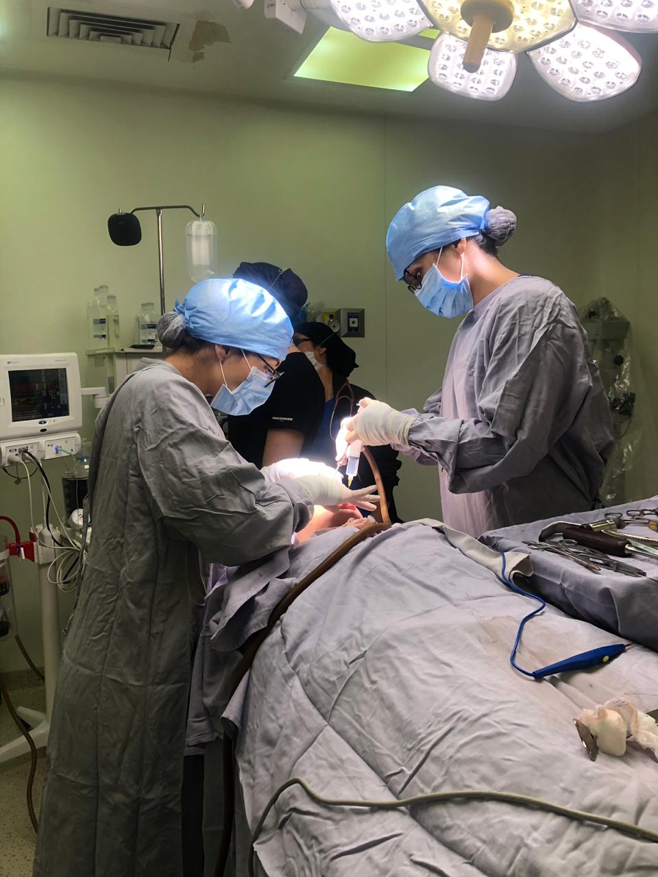 Atención clínica con enfoque en precisión odontológica